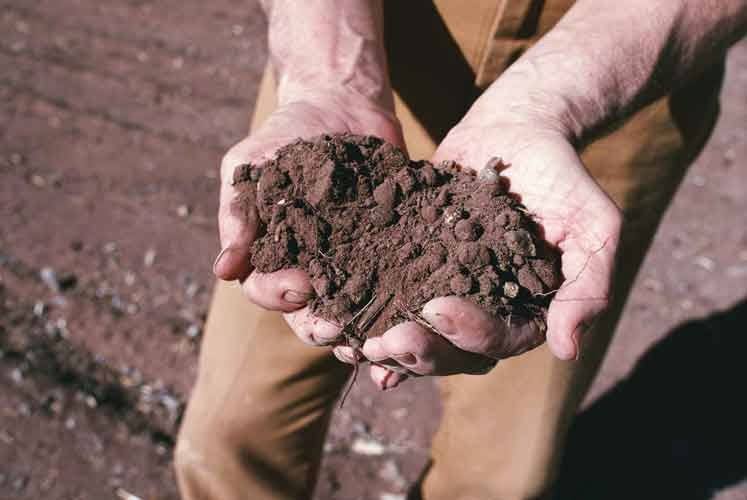 Un bando offre terre abbandonate a giovani agricoltori