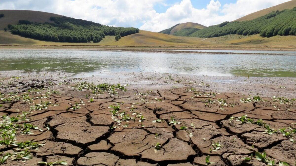 Emergenza siccità in Italia. Agricoltura in ginocchio.