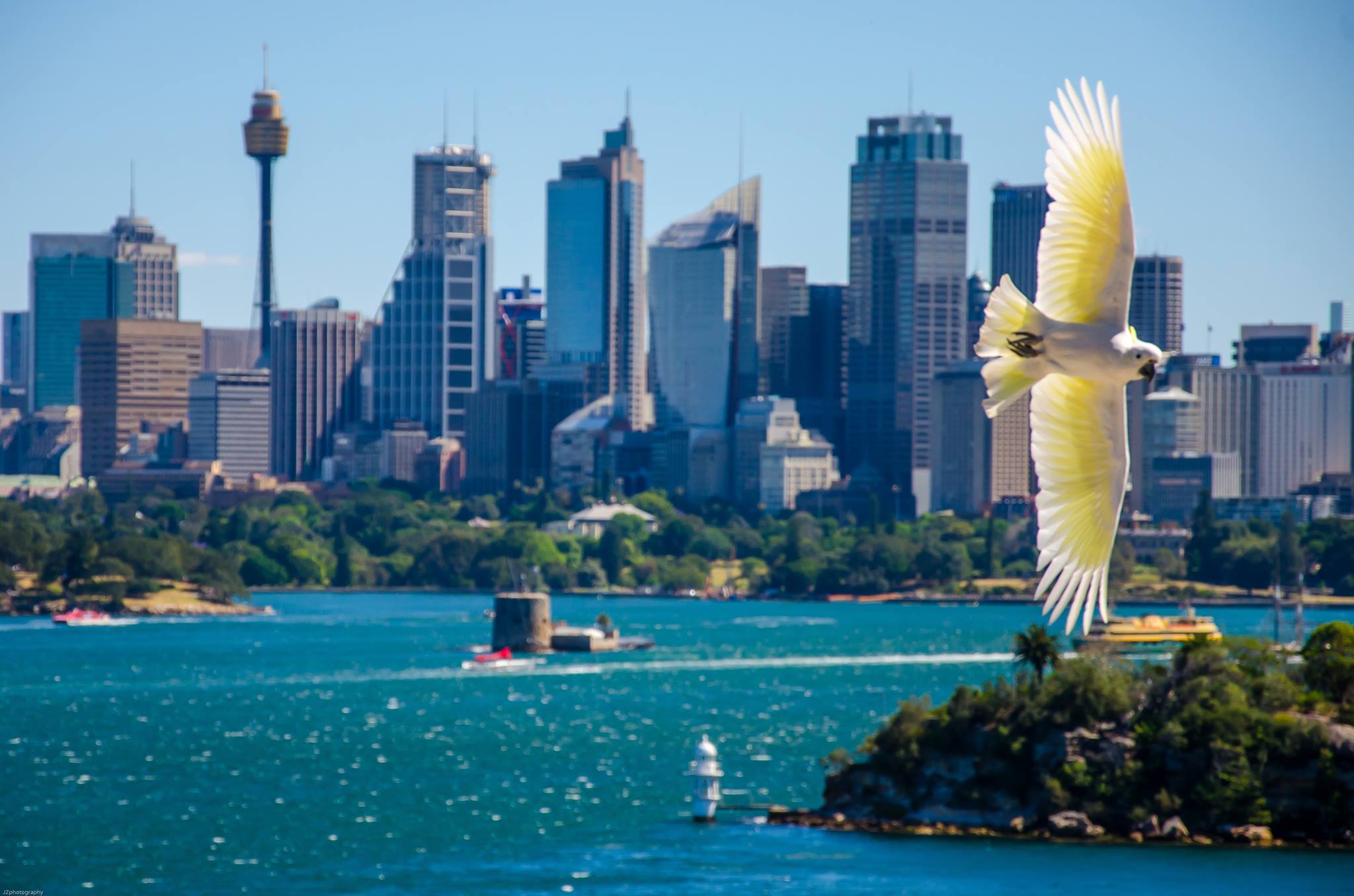 Manda una cartolina e vinci un anno in Australia