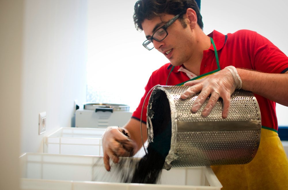 Coltiva funghi dagli scarti del caffè: il business green di Daniele