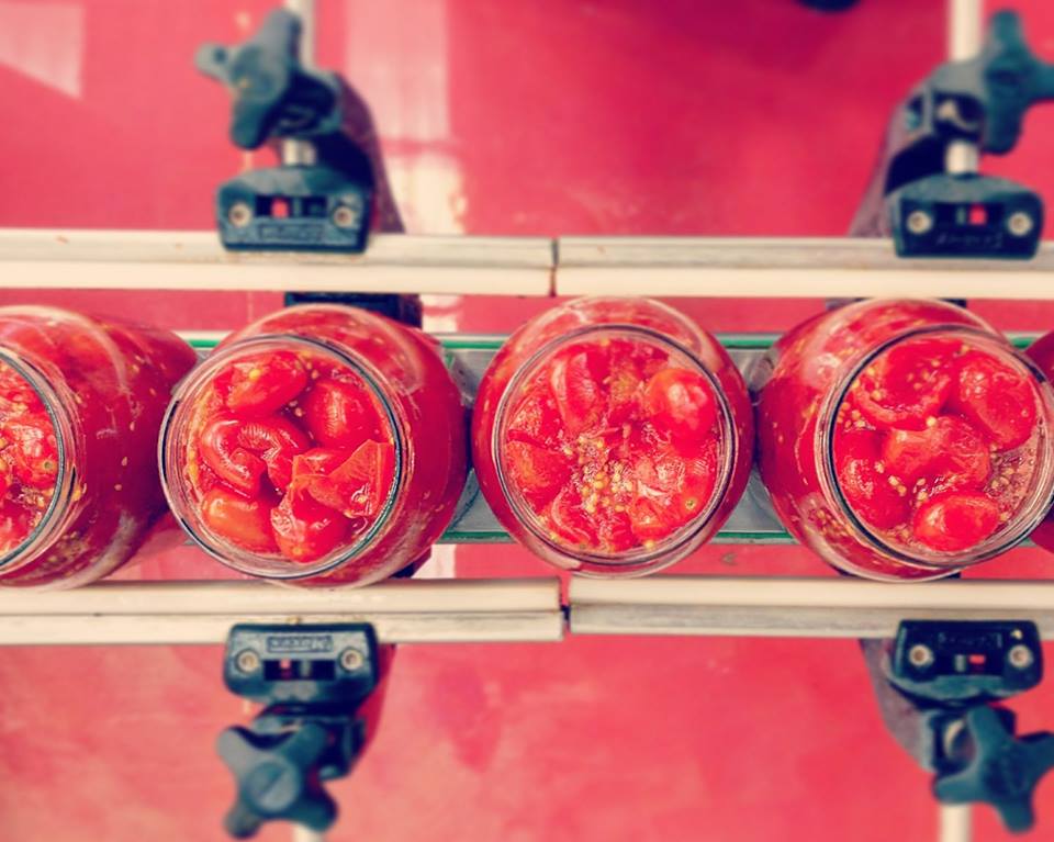 «Lavoro il pomodoro dell’Agro nocerino, come una volta»