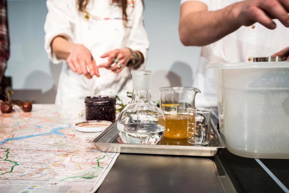 Apre a Milano il primo bar delle erbe selvatiche