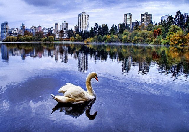 Come fare impresa in Canada: la storia di Rocco Bellosta