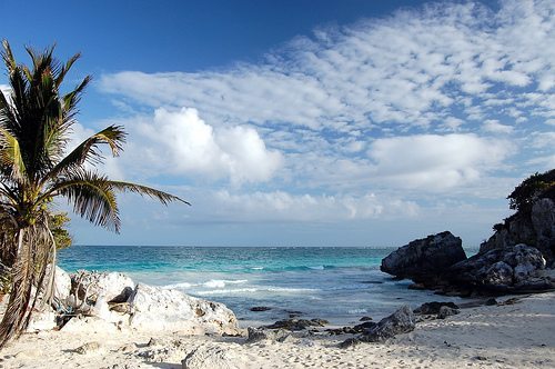 Lavoro da sogno: 6 mesi sulle spiagge giamaicane