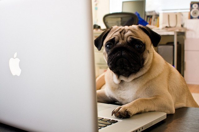 Lavoro: Come trovare motivazione dopo le vacanze natalizie