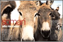 Somari alla riscossa