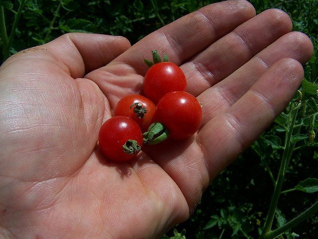 Basta uffici, noi torniamo alla terra