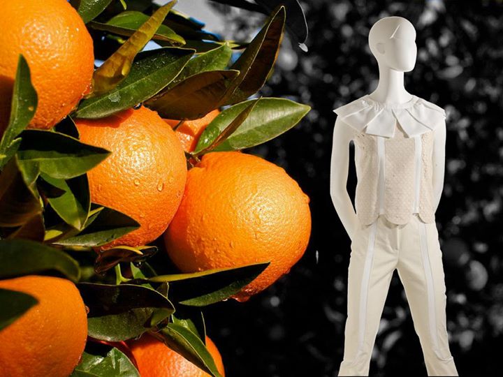 Come produciamo tessuti dalla buccia degli agrumi