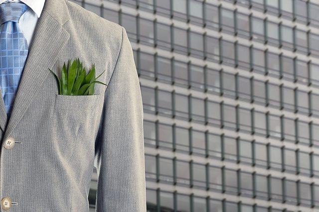 Finanziamenti alla green economy