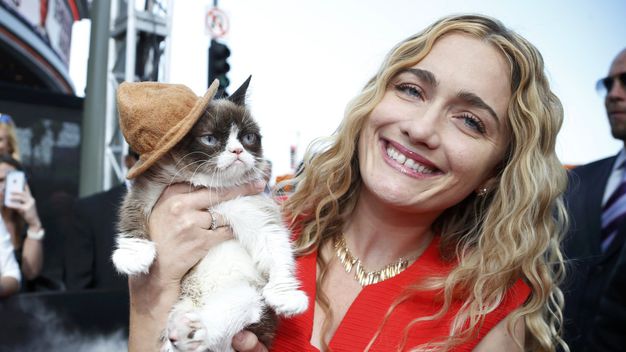 Come guadagno 80 milioni di euro con il mio gatto
