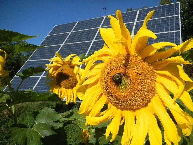Green economy: opportunità di tirocini all’estero