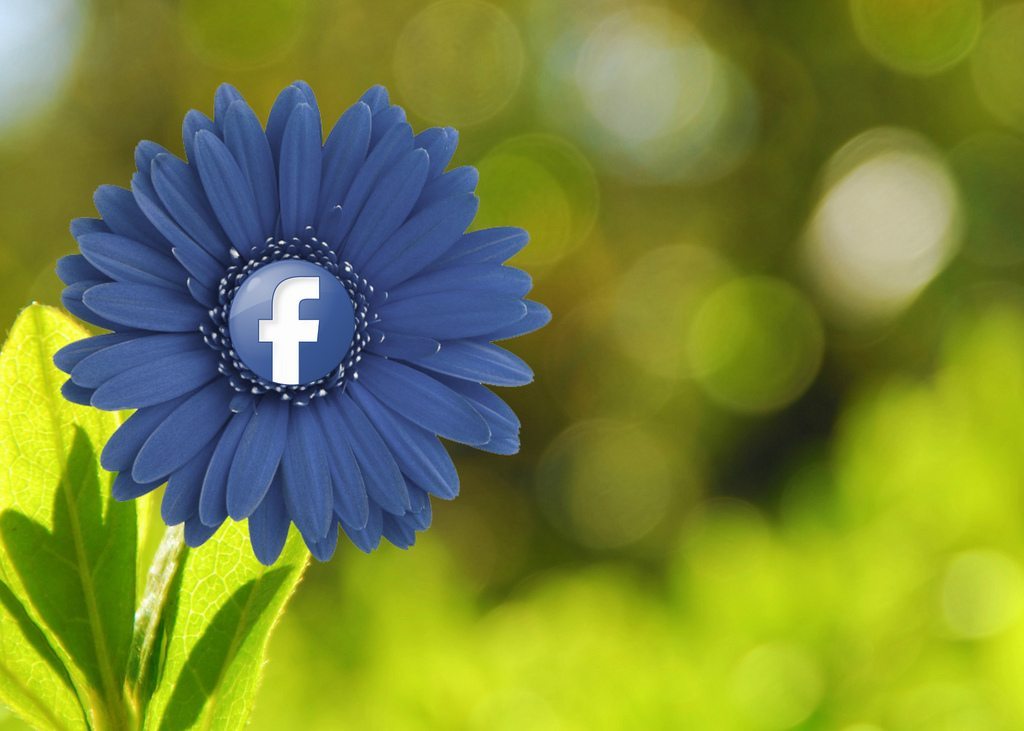 Pubblicità su Facebook: come si fa e se conviene