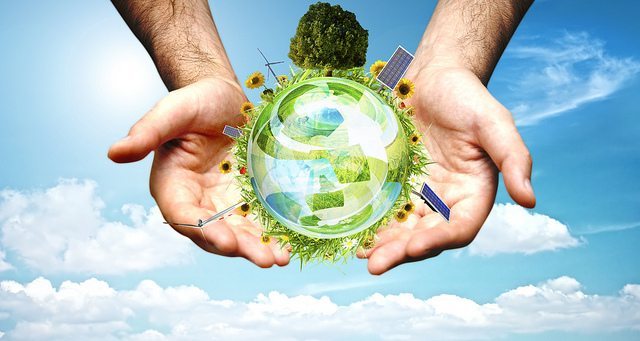 Soldi e formazione per idee sostenibili