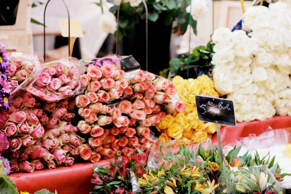 Ritorno in Italia e vendo fiori a km zero