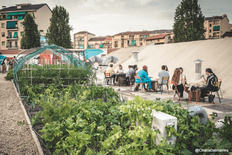 La rigenerazione urbana crea spazi per l’agricoltura