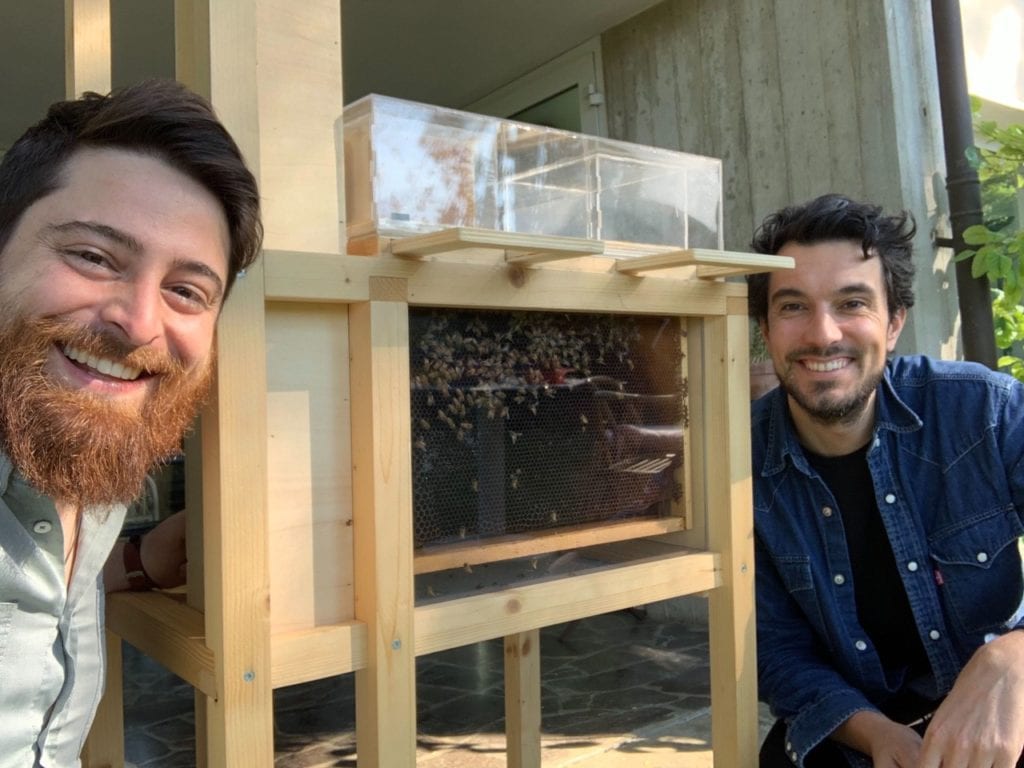 Porto le api in città e creo un kit per il miele in casa