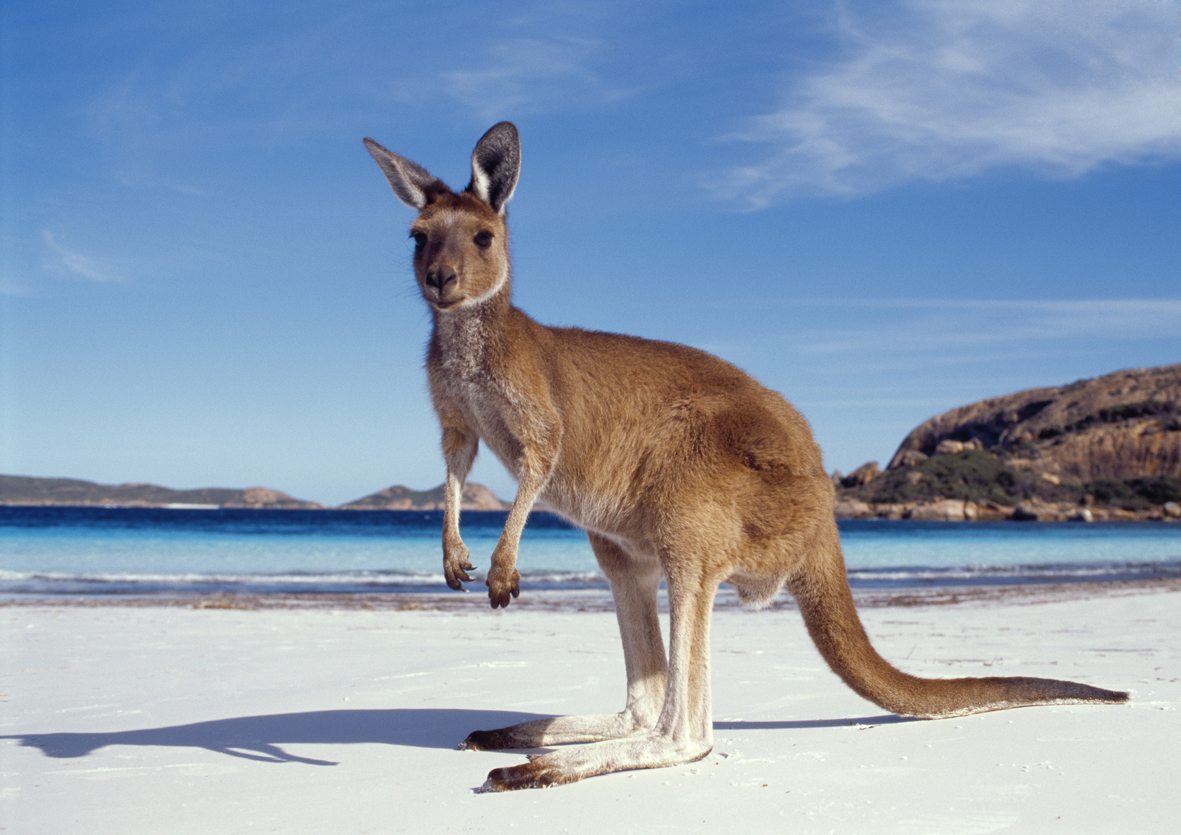 3 cose da sapere prima di trasferirsi in Australia