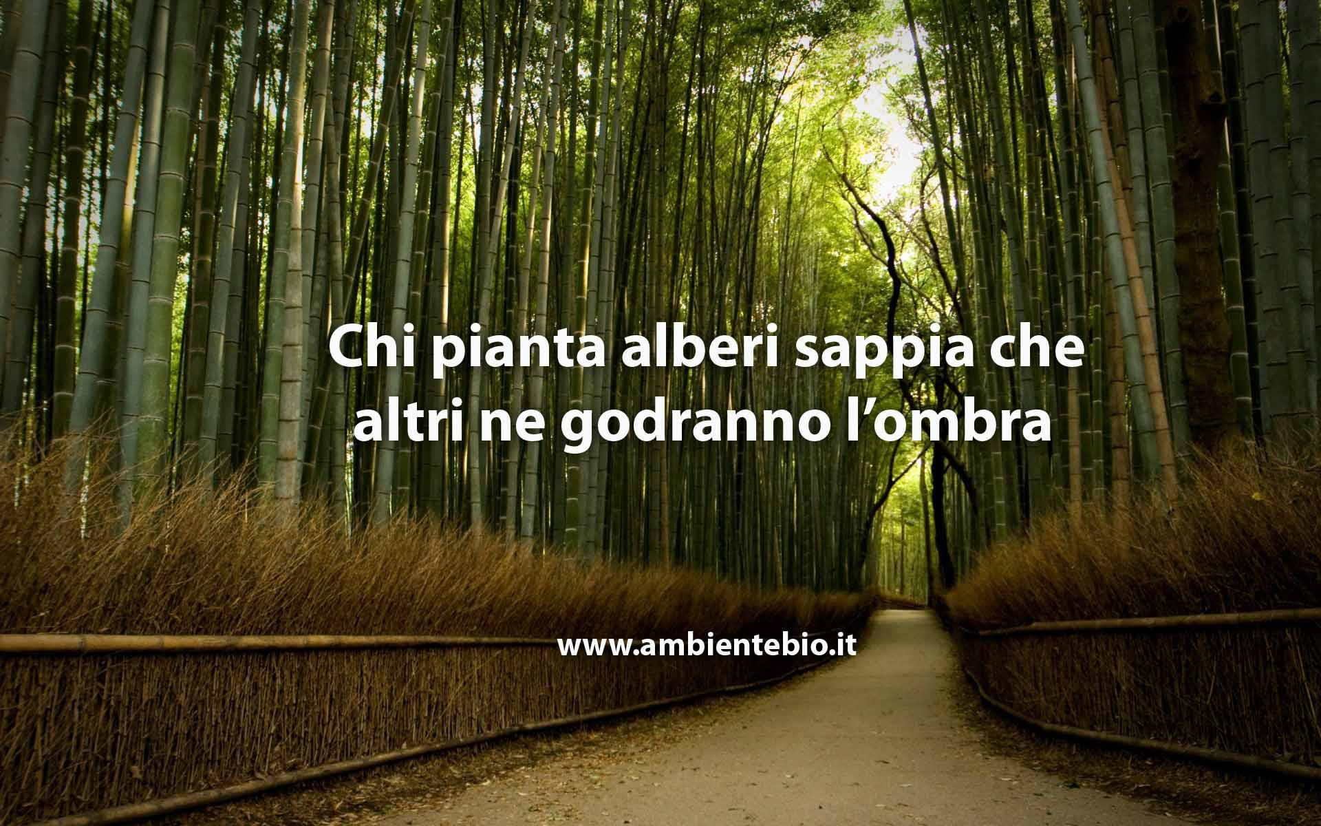 Ambientebio, una startup in risposta a Seth Godin