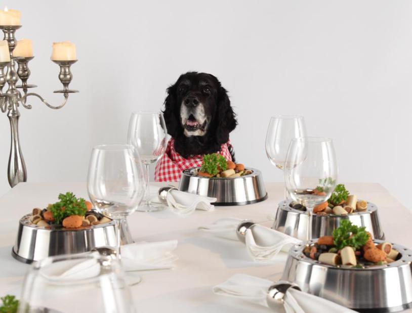 Qui si mangia da cani