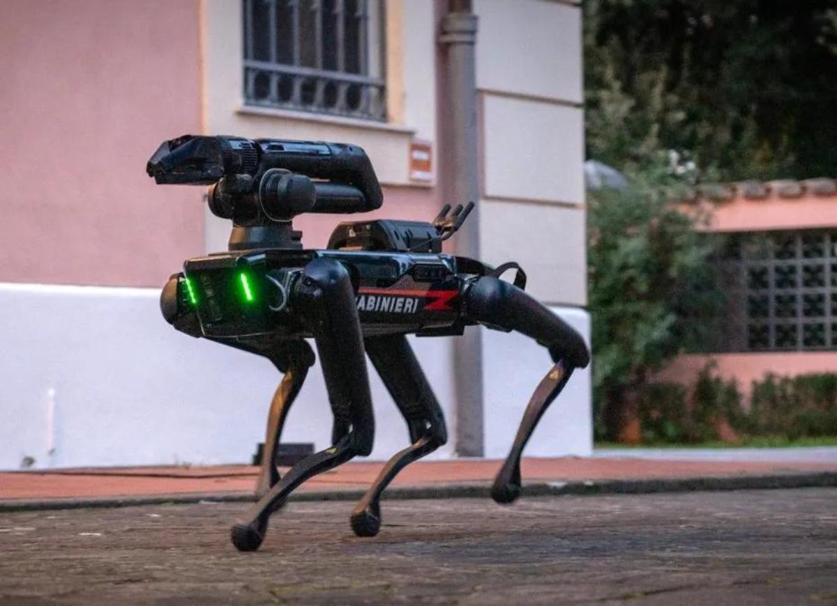 Saetta, il primo cane robot ad entrare in servizio con l'Arma dei Carabinieri