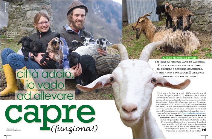 Alleva capre: è facile e conveniente!