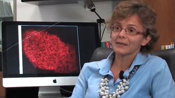 LASCIA IN EREDITÅ TUTTI I SUOI BENI ALLA SCIENZIATA ELENA CATTANEO. E LEI LI DESTINA ALLA RICERCA PUBBLICA