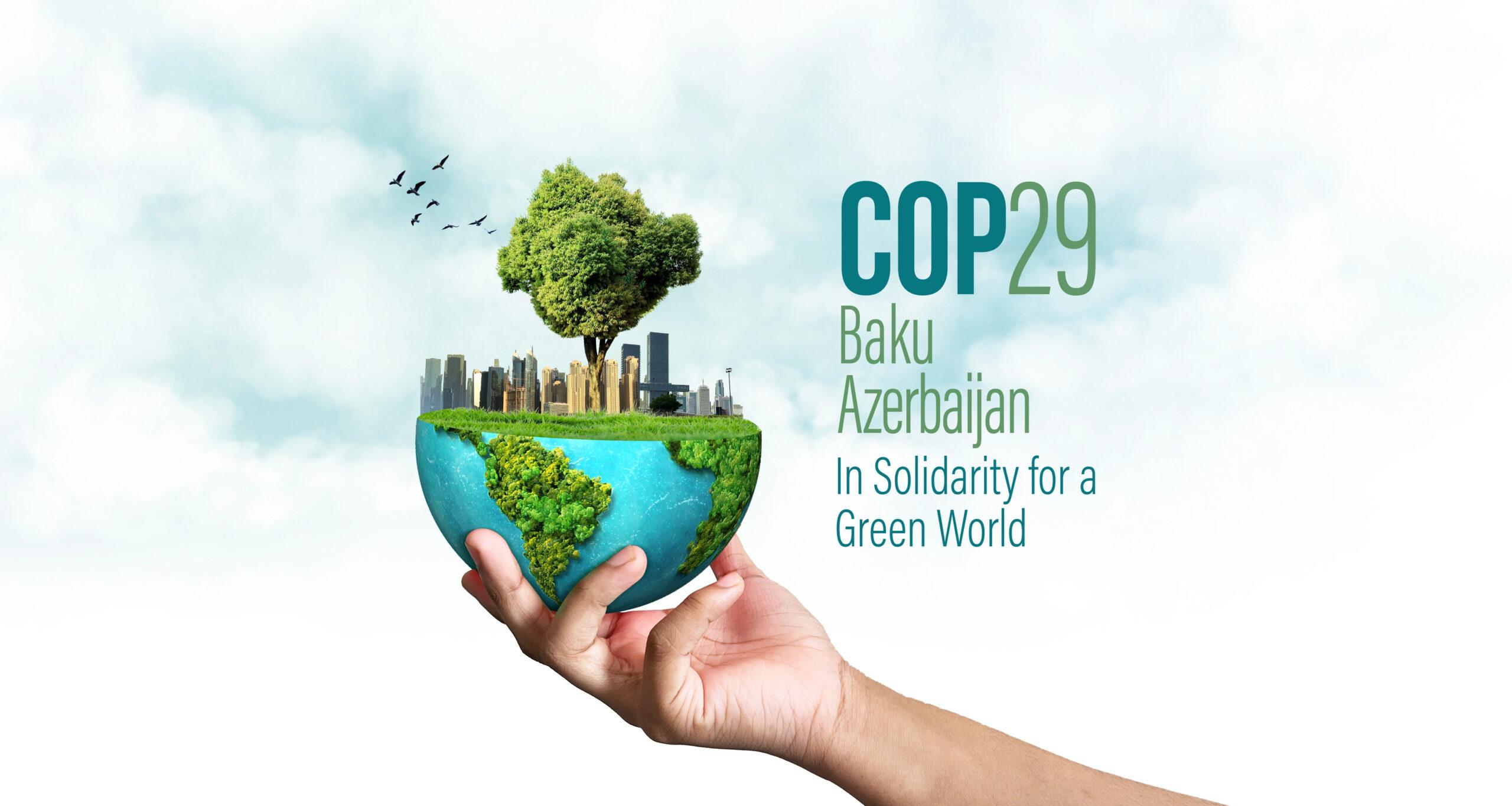 COP29: 300 miliardi di delusioni per i paesi in via di sviluppo.