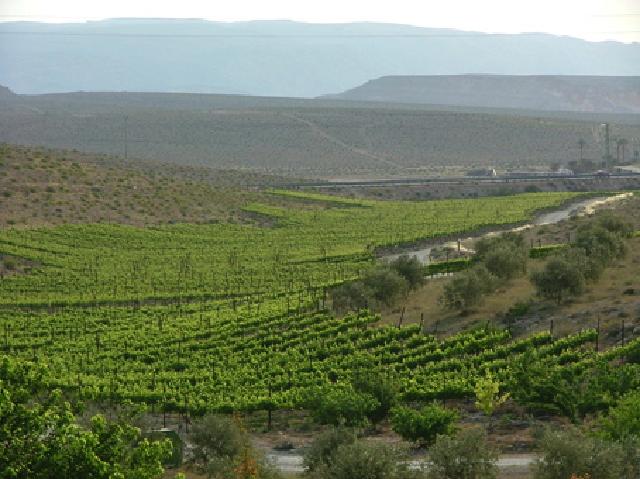 L’uomo che coltiva il deserto