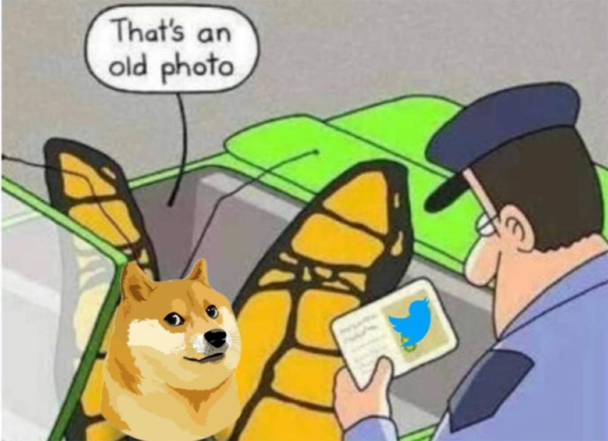 Chairman: “Compra twitter e cambia il logo con un doge” - Elon Musk: “Sarebbe pazzesco”