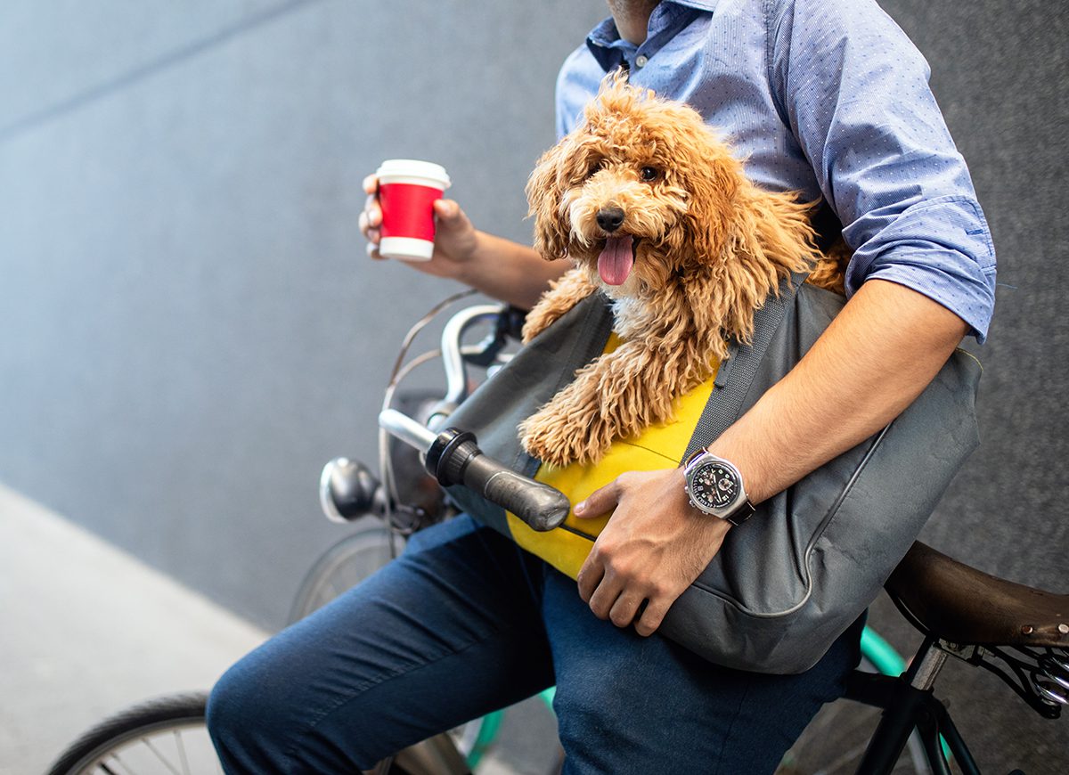 Le attività dog friendly sono valutate meglio di quelle che non consentono l'ingresso di cani.