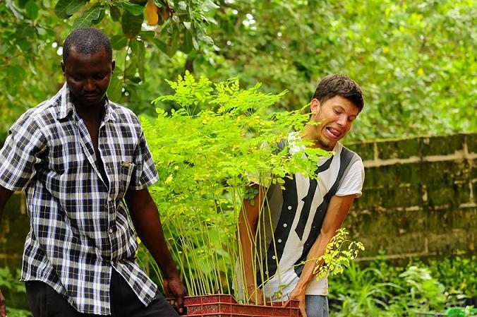 Piantiamo alberi nel mondo per business (e non solo)