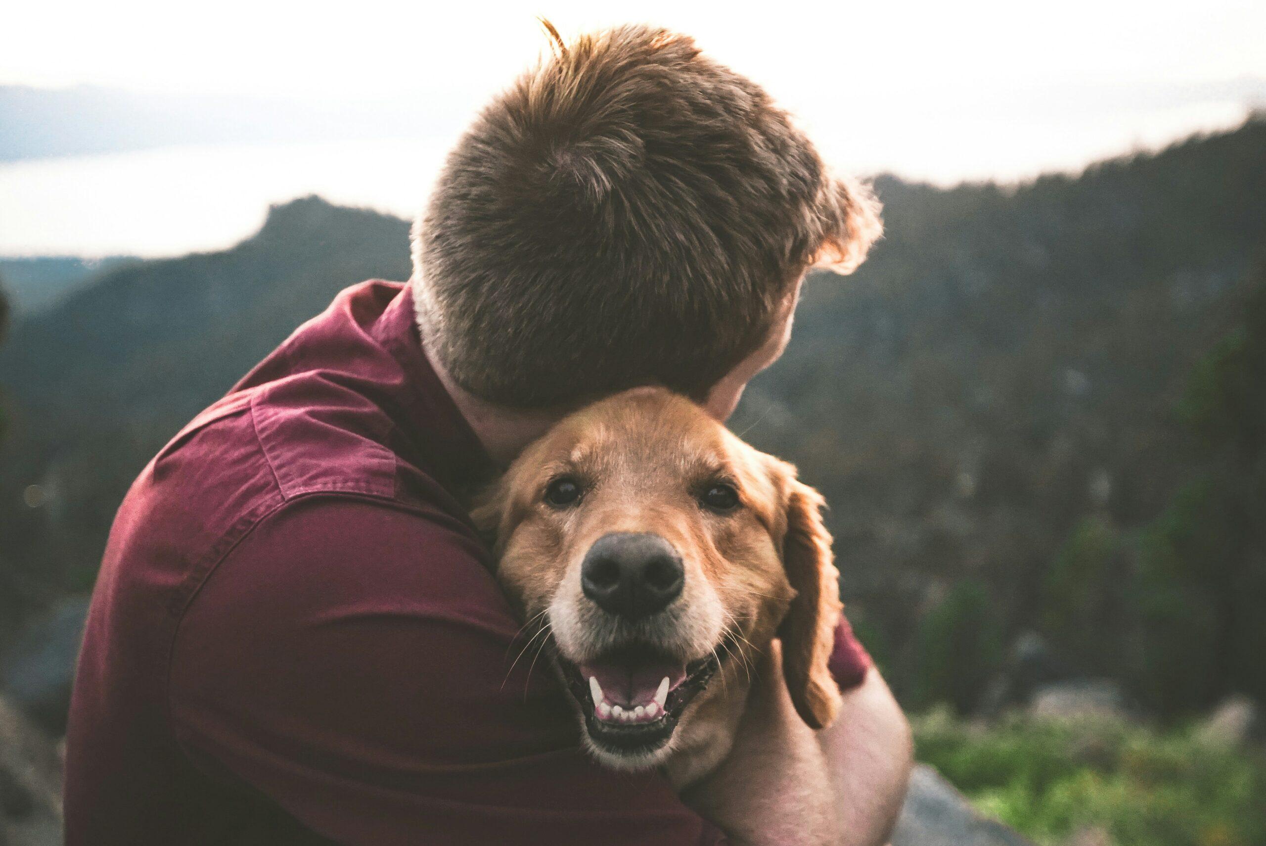 26 agosto: Giornata Mondiale del Cane. Le startup che si prendono cura di Fido.