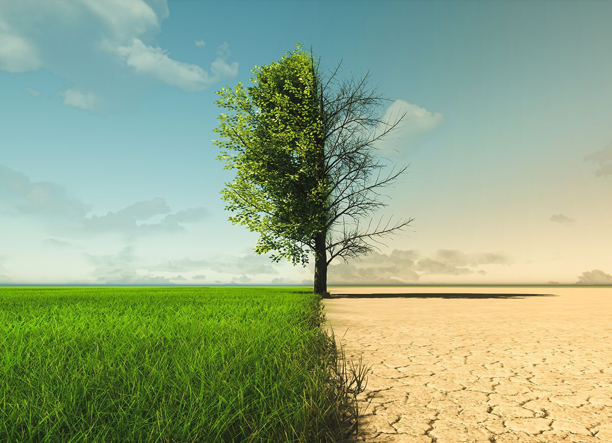 Siccità, Europa sopra i 40 gradi e poi?
