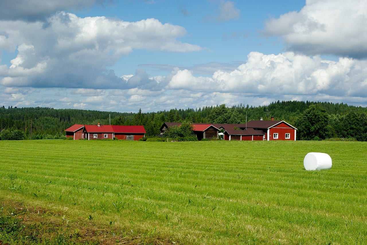 Giornata mondiale della felicità, la Finlandia è il Paese più felice del mondo