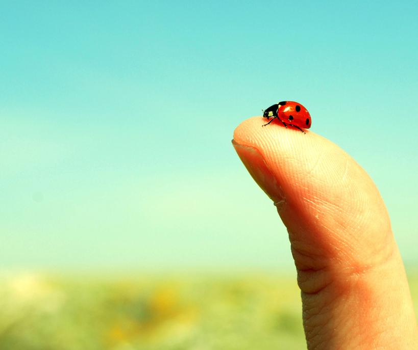 5 modi per creare la tua fortuna