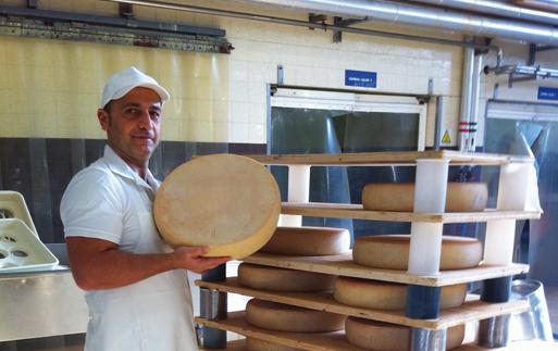 Mario, 40 anni, si reiventa con il formaggio