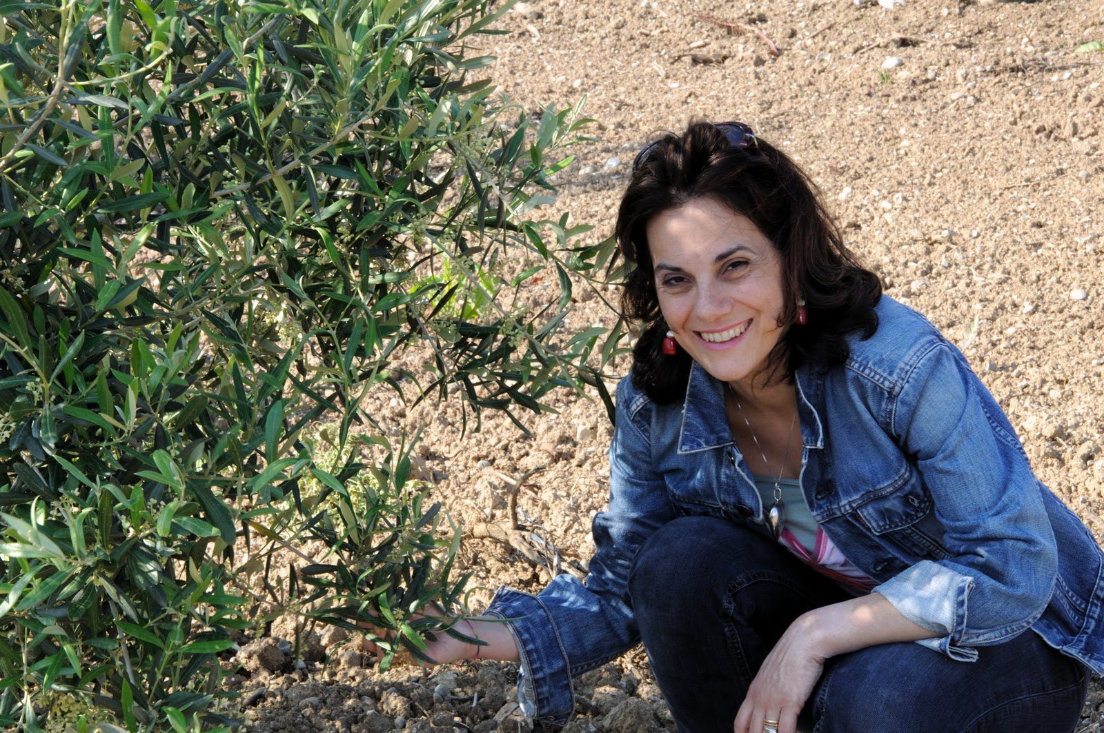 Come lascio l’avvocatura per produrre un olio di qualità