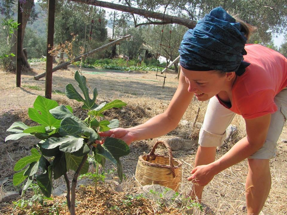 Bando per giovani innovatori nell’agroalimentare