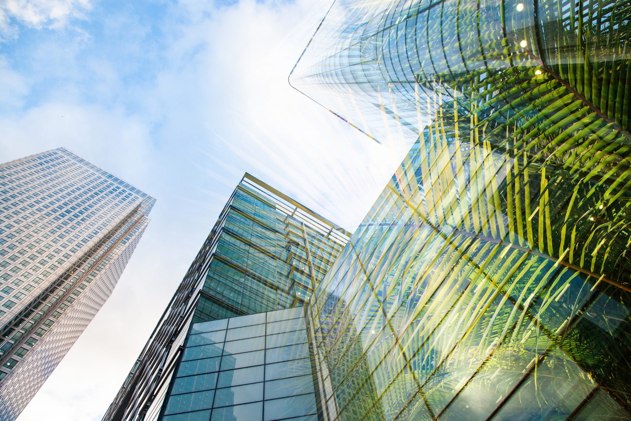 Impact investing: cresce il mercato italiano degli investimenti a impatto