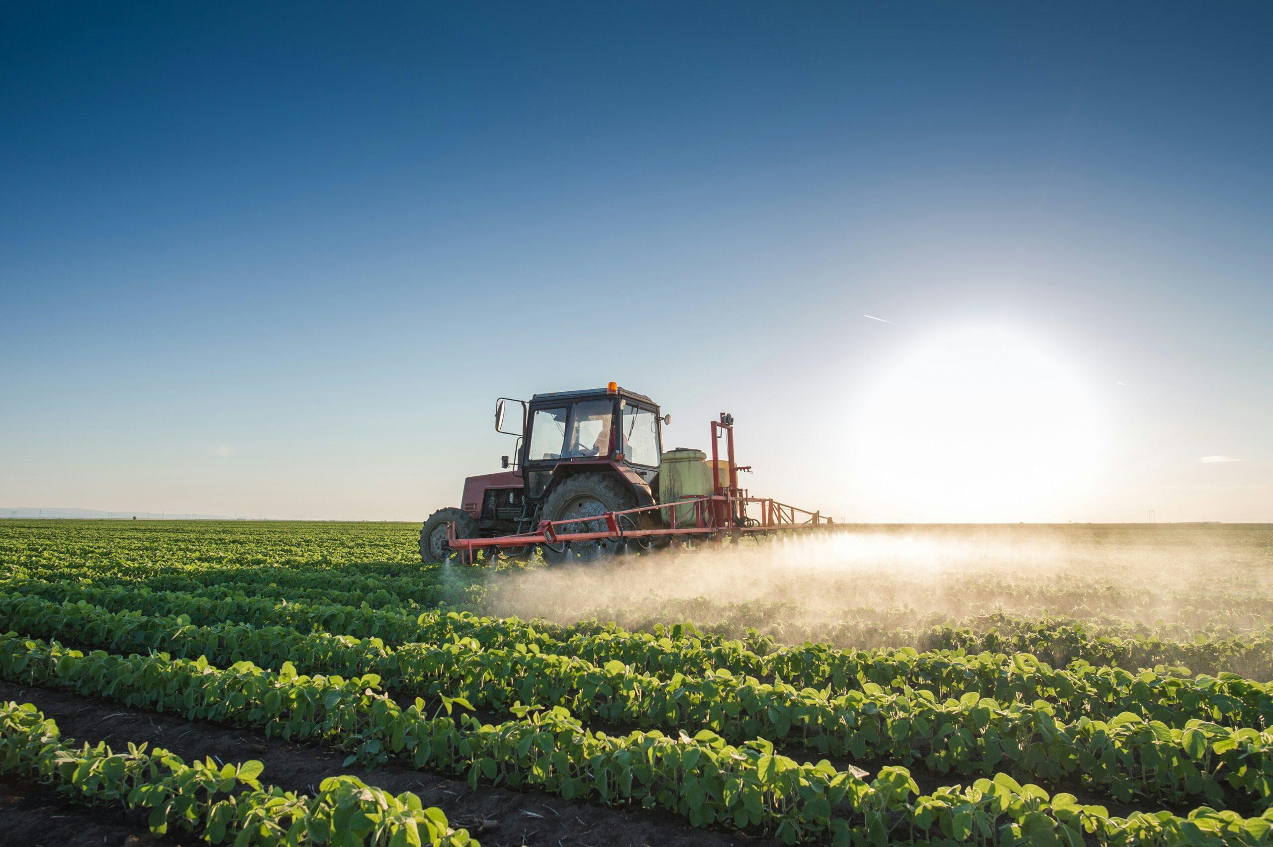 L'agricoltura italiana conquista il primato in Europa: un record storico
