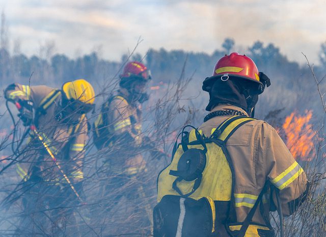 Giappone innovazione: schiuma antincendio 100% bio
