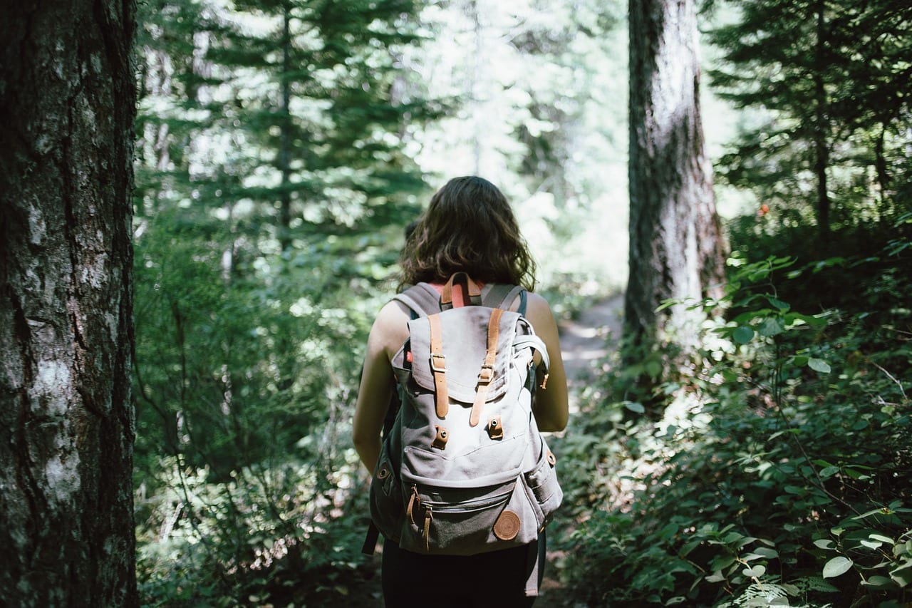 Nasce il "forest bathing": tutti pazzi per i boschi italiani
