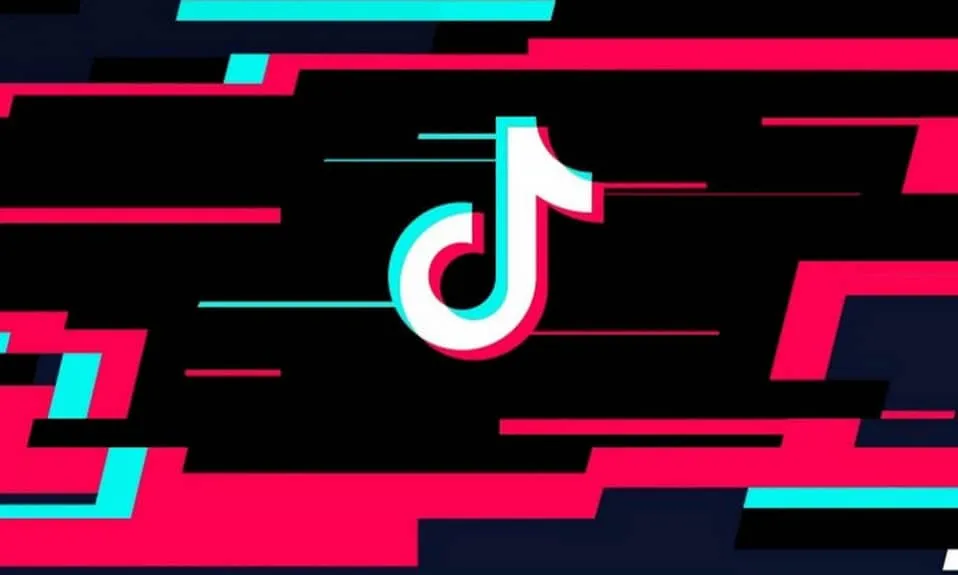 TikTok: la Corte Suprema USA conferma la legge "Divest or Ban"