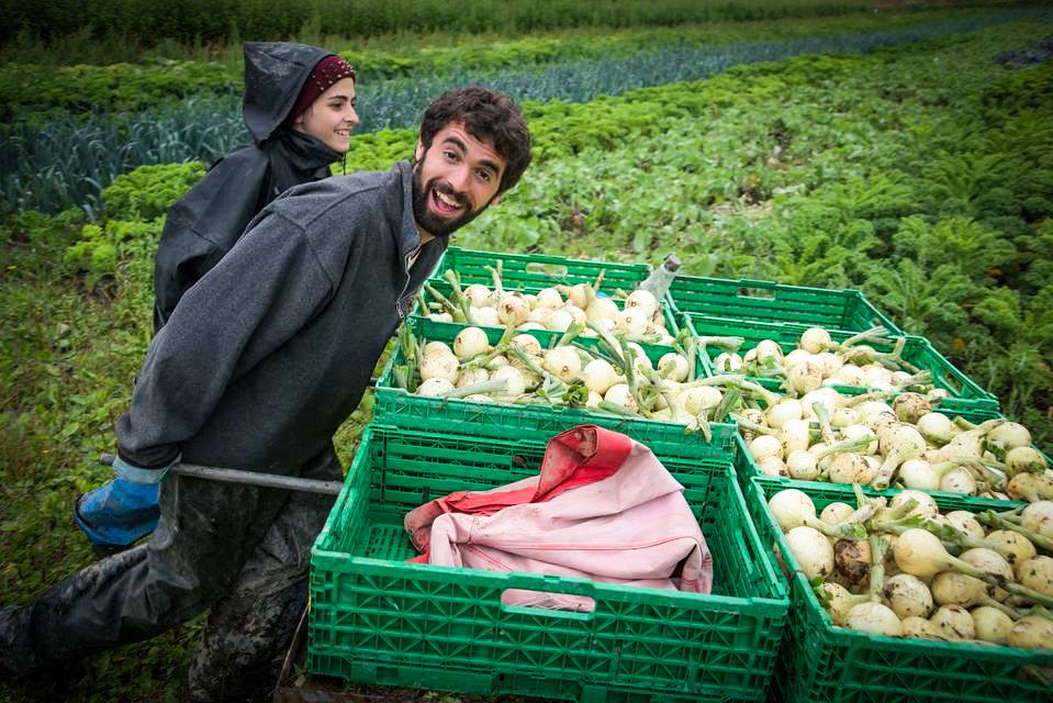 Ismea: agevolazioni per giovani agricoltori