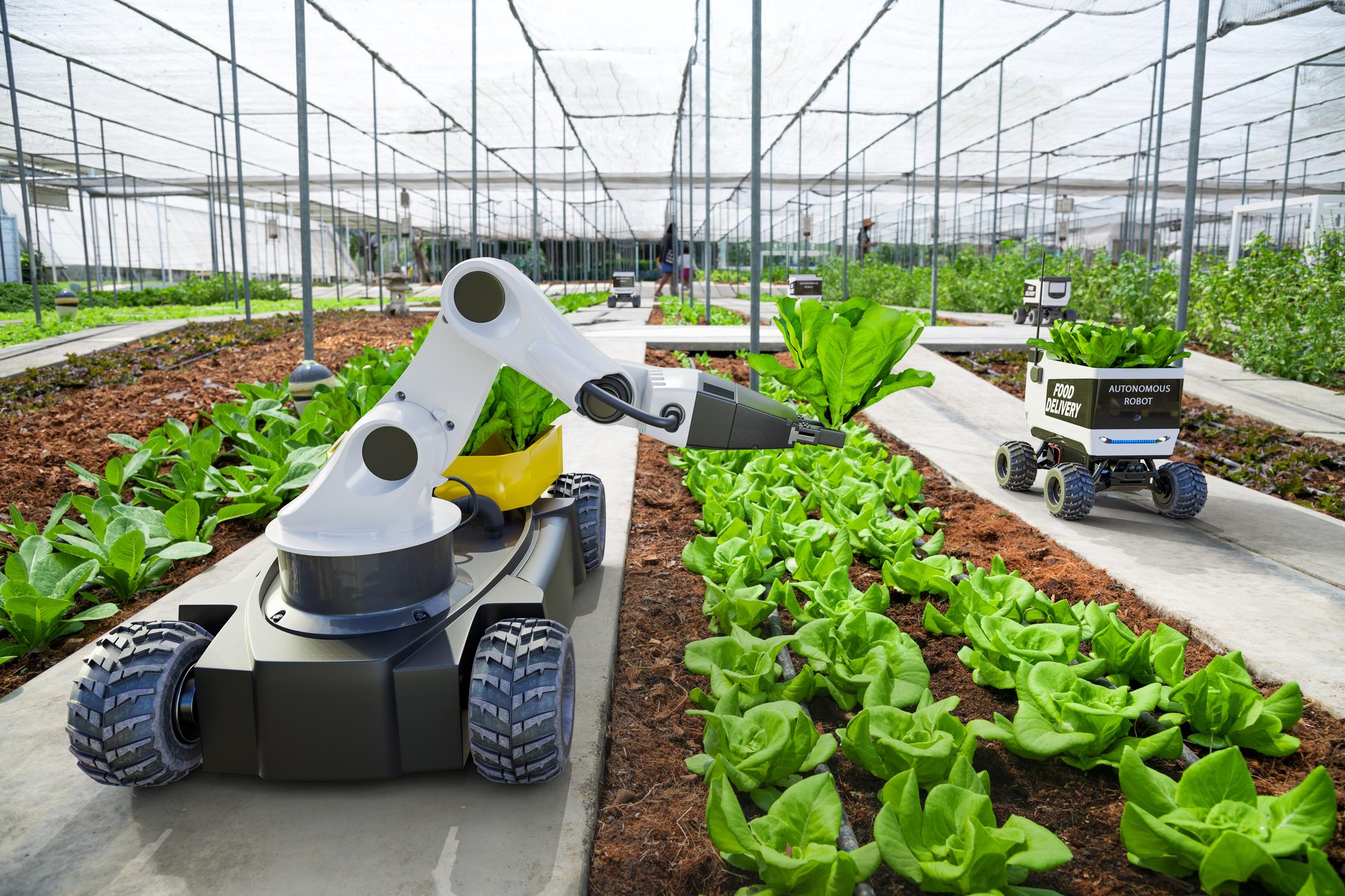 NovelFarm: micocoltura e robot agricoli in evidenza a Pordenone