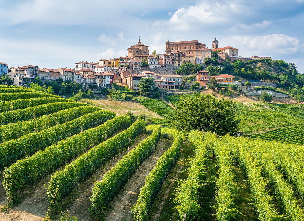 Gli americani investono nelle Langhe
