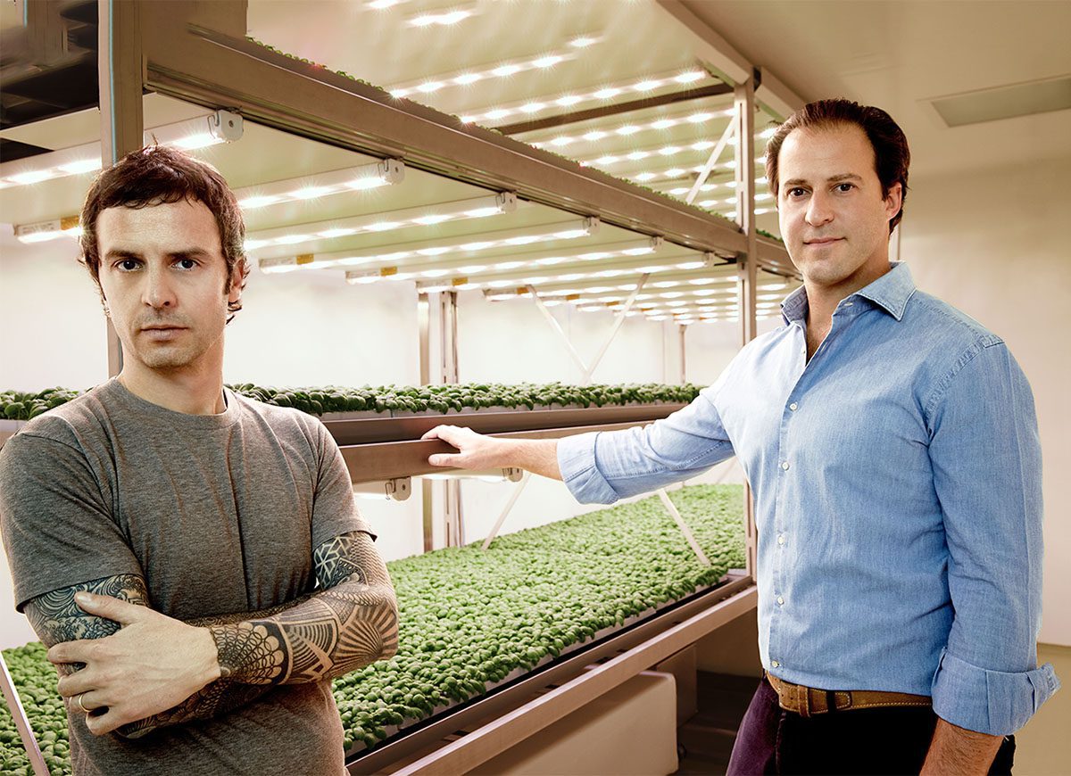 La vertical farm più grande d’Europa è milanese