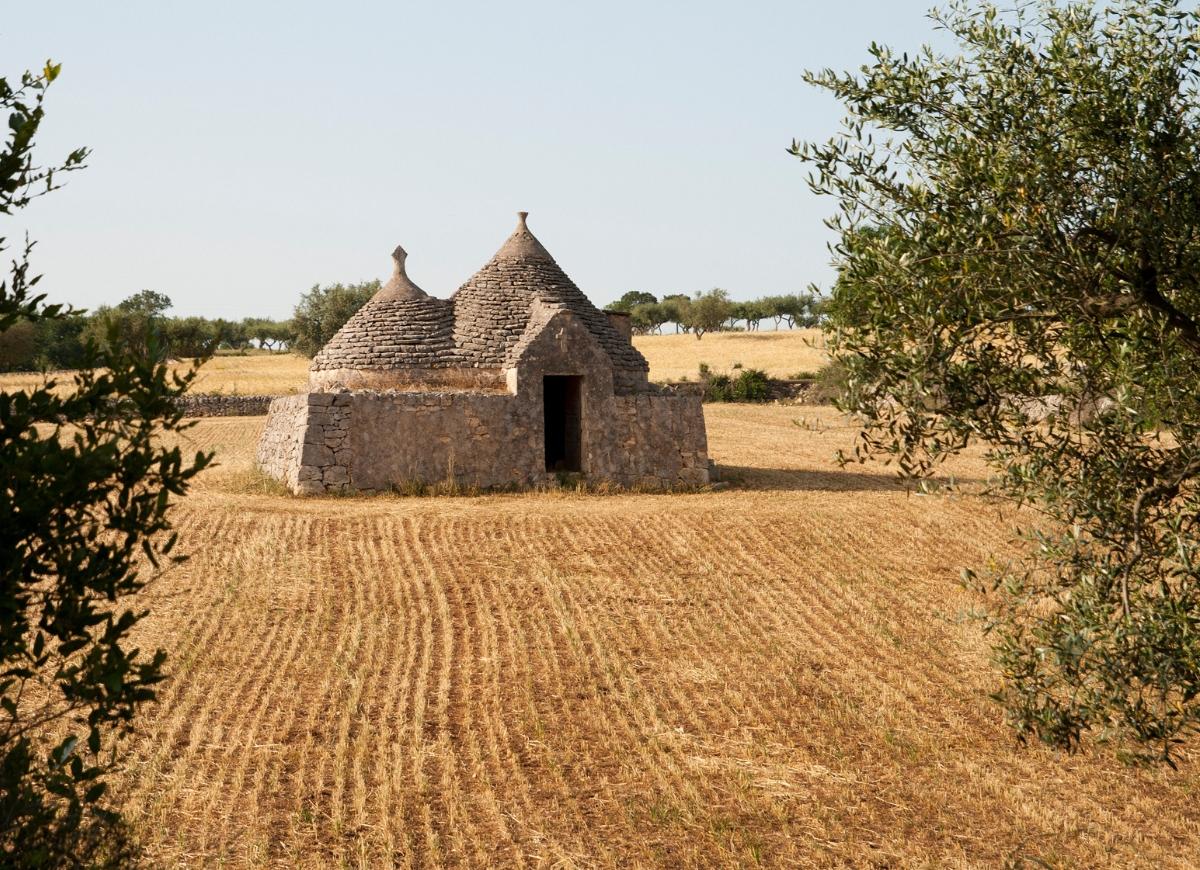 L'UE ordina: “Niente grano e mais in Pianura Padana e Puglia per un anno”.