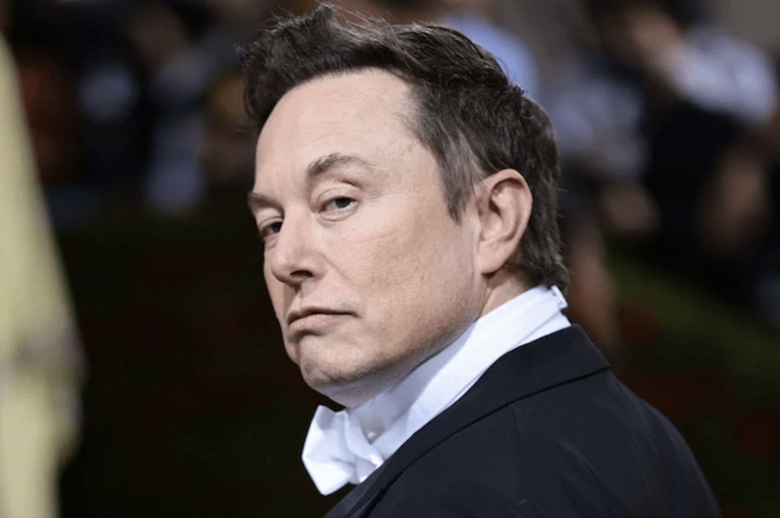 Pressioni sulla Commissione Europea per fermare l’interferenza di Elon Musk nelle elezioni