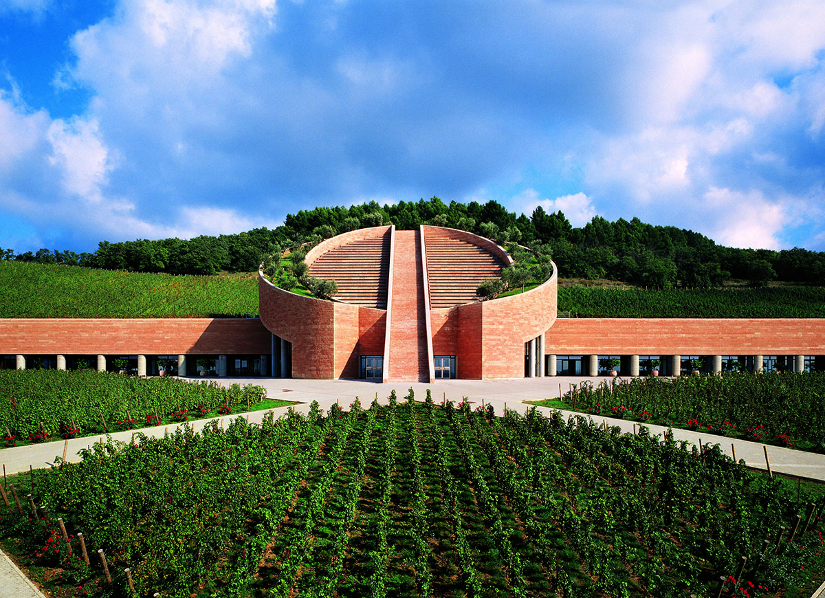 Cantine d'autore. Dove il sapore incontra il gusto